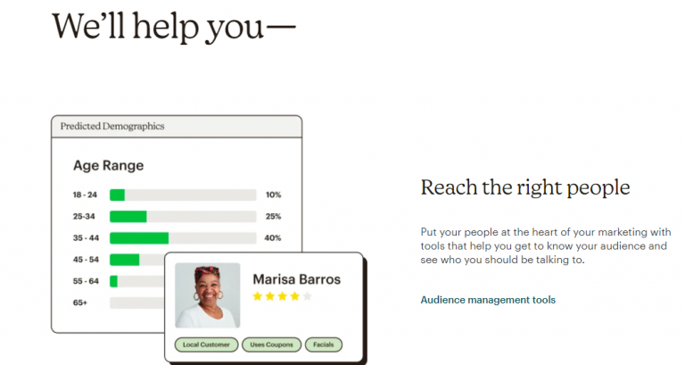 Mailchimp graph showing audience