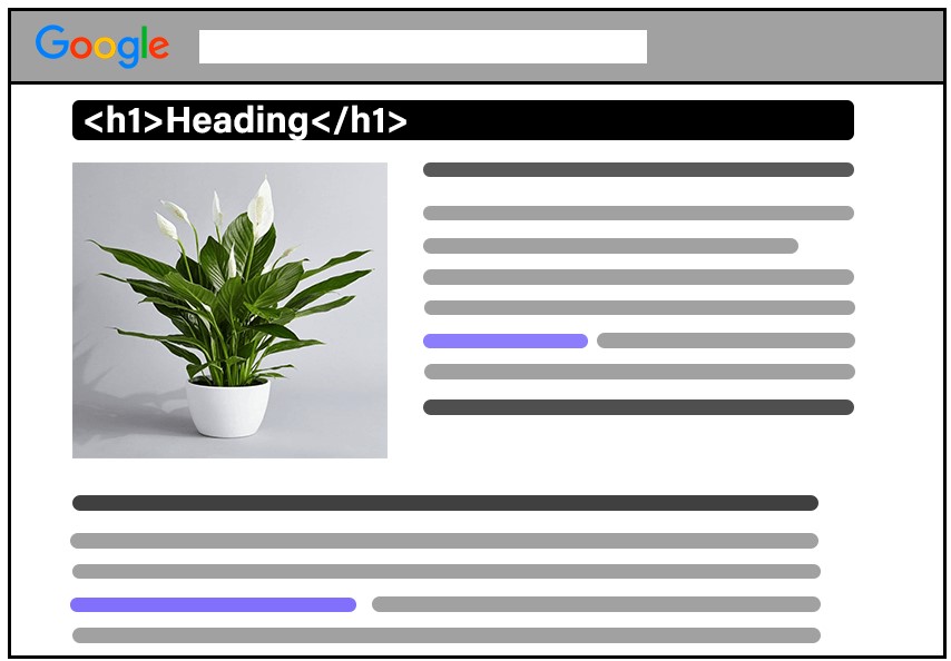 h1 tag example